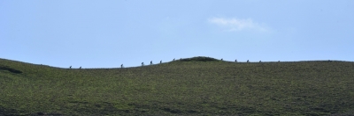 Builth Wells's Rolling Hills.