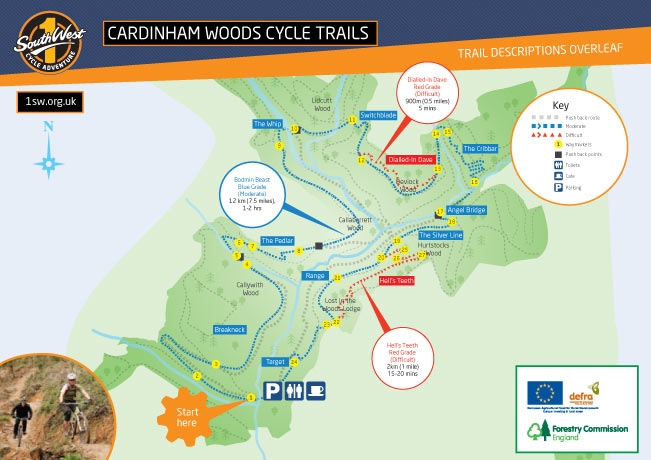 cardinham woods mtb